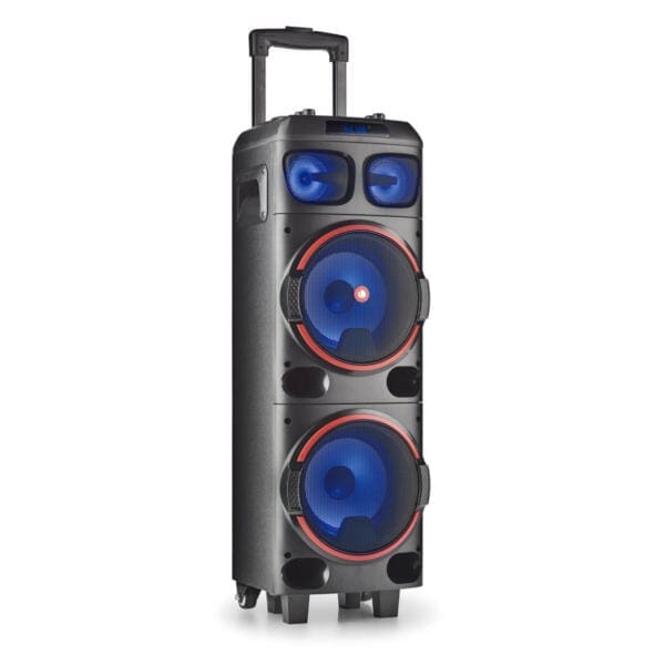 NGS Wild Dub 1 Ηχοσύστημα Karaoke με μικρόφωνο και φωτορυθμικό ισχύος 300W σε μαύρο χρώμα
