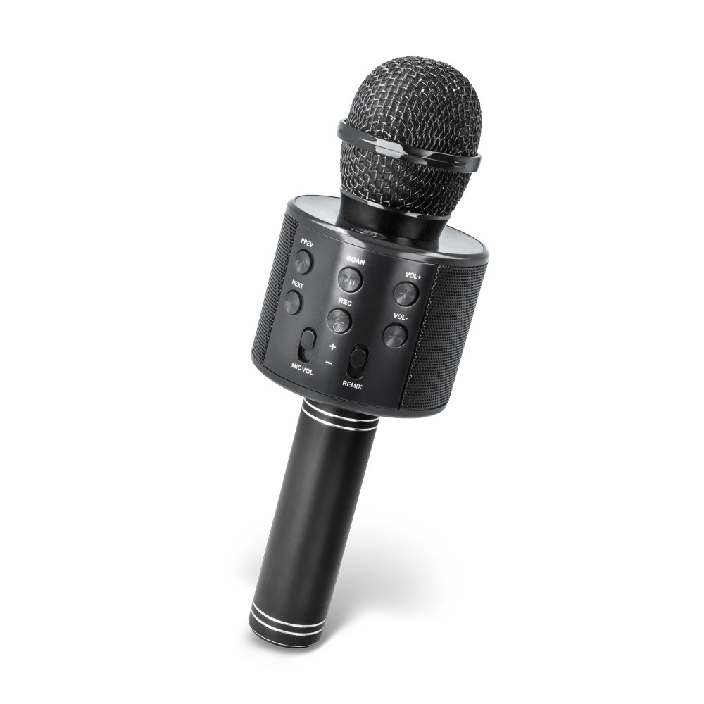Forever BMS-300 Ασύρματο Μικρόφωνο Karaoke με ηχείο (BMS-300) σε μαύρο χρώμα