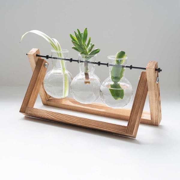 Winning - Home & Lifestyle - Propergator Vases - Ξυλινη βάση με βάζα για υδροπονική καλλιέργεια