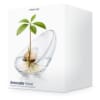 mikamax - Avocado Vase: Όταν το Design Συναντά τη Φύση