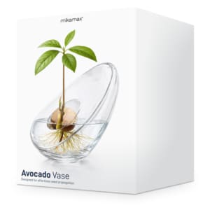 mikamax - Avocado Vase: Όταν το Design Συναντά τη Φύση